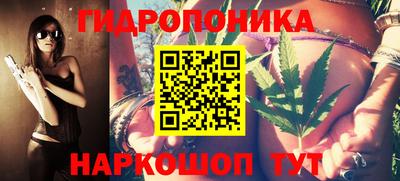 a pvp Дубна