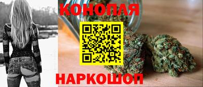 шишки Гусев